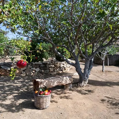 The Eagle's Nest House