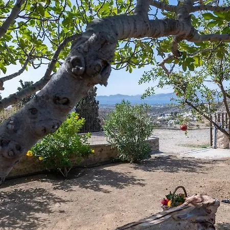 The Eagle's Nest House *