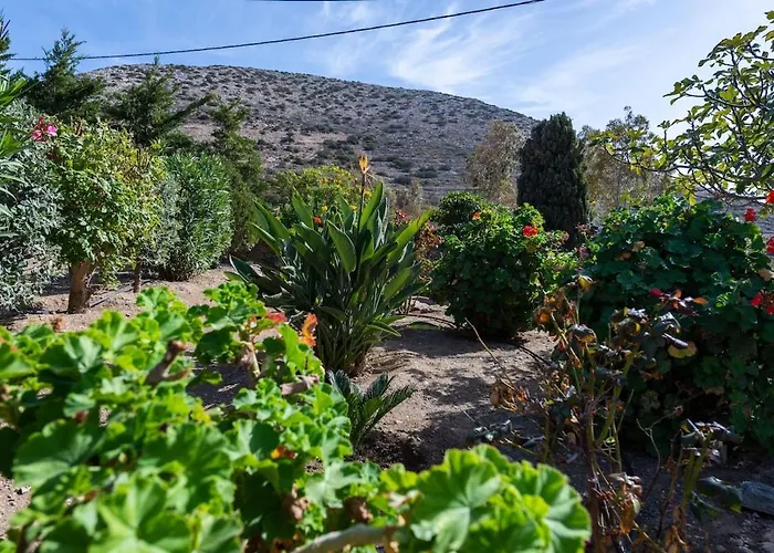 Semesterbostad The Eagle's Nest House