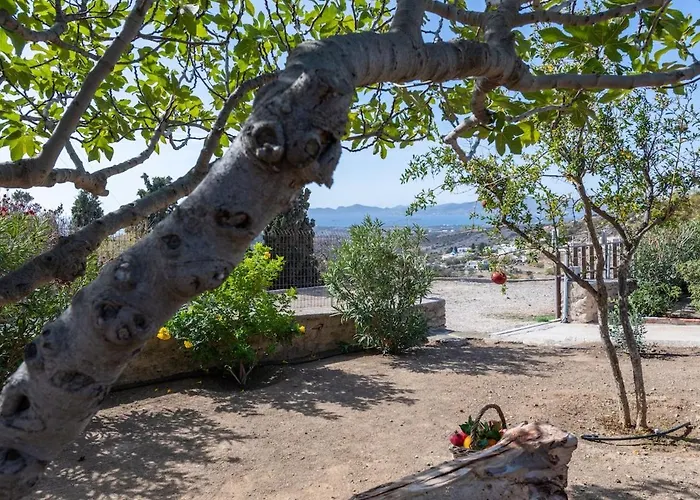 The Eagle's Nest House *